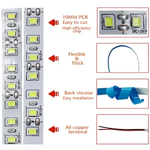 High-Brightness Custom Waterproof IP20 IP65 Single-Color Adjustable Brightness LED Light Strip